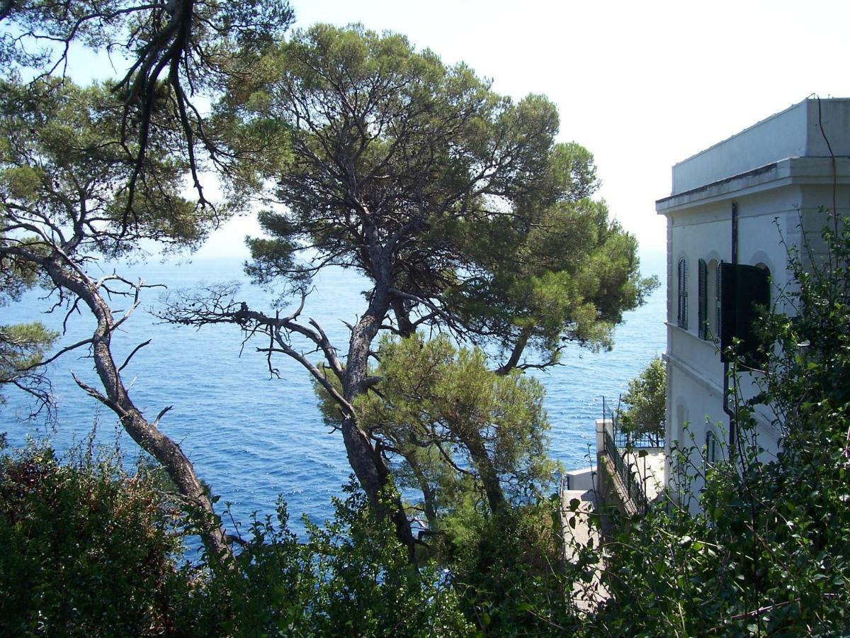 Sun'S Homes "Red" Portofino Dış mekan fotoğraf